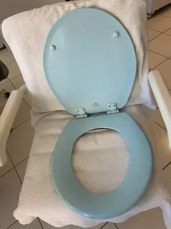 NEW Toilet Seat