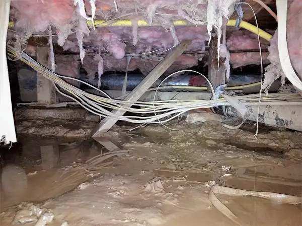 Water in Your Crawl Space? French Drains & Sump Pumps Installed