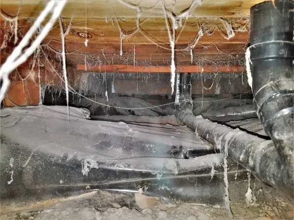 Crawl Space Clean Out - Sanitization - Smelly Crawl Space -Restoration