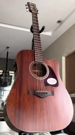 acoustic guitar