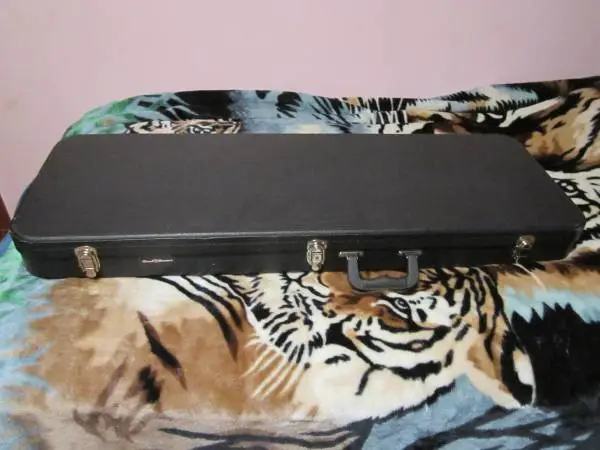 Electric Guitar Hard Case