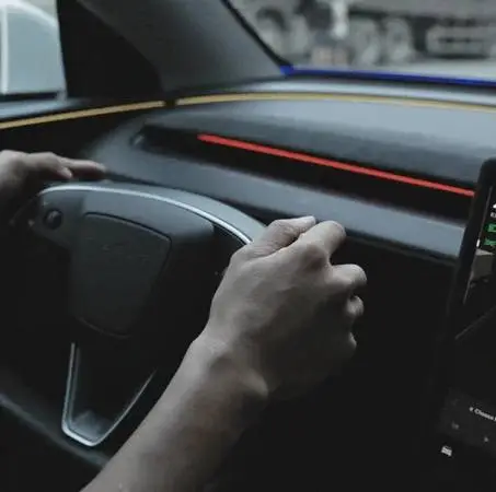 Tesla Model 3/Y Blind Spot Detection ambient light