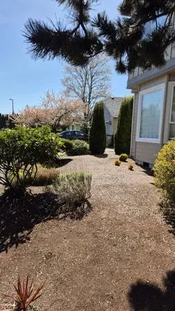 Lawn care services. 458 331 7022 .eugene,coburg,cottage grove,monroe etec