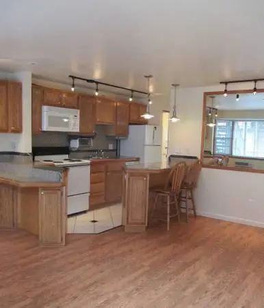 Cat-friendly 1 BD in great SoBo location. ONE MONTH FREE! (680-216)