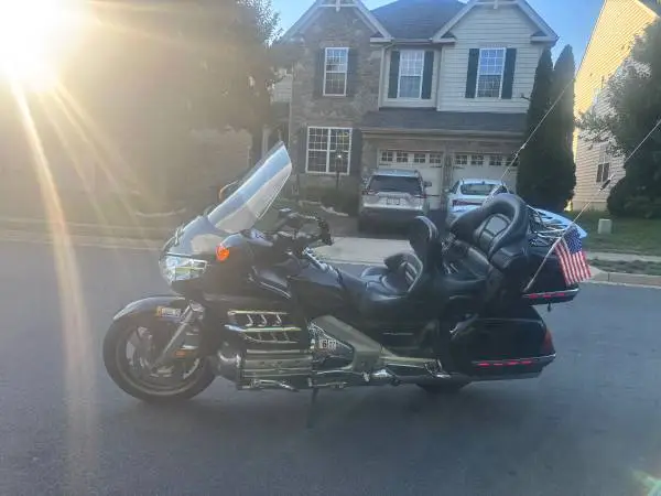 Gold wing