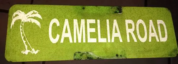 Camelia sign