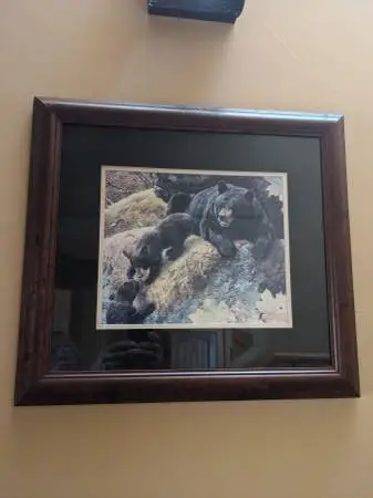 Framed Bear Print