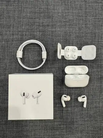 Apple AirPods Pro 1st Gen (READ DESCRIPTION)