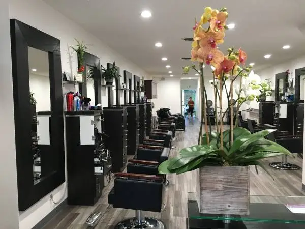 Hair/Color Stylist