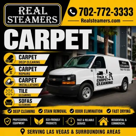 Carpet steam deep shampoo cleaning tile and grout upholstery driveway