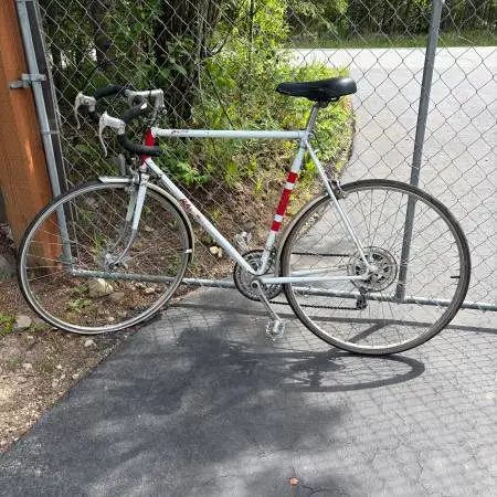 Raleigh large road bike