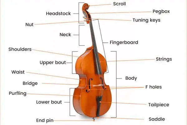 WANTED: Upright Basses & Double Bass Accessories
