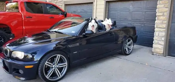 ALTERNATIVE BMW and European SERVICES