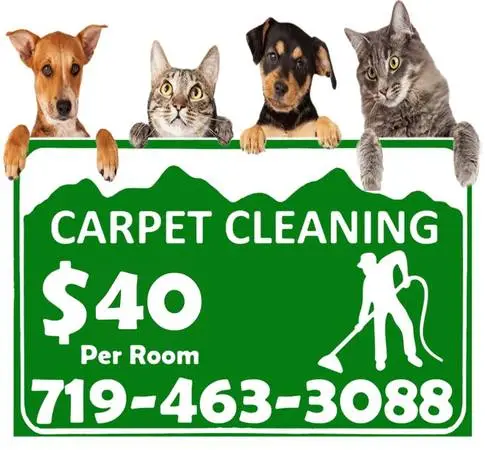 Carpet Cleaning $40 Per Room!!! 🐕🐢🦆