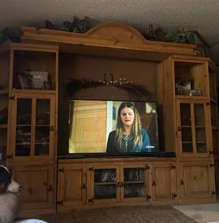 Western entertainment center