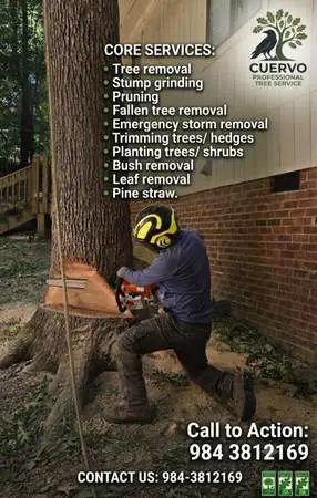 🐦‍⬛Cuervo professional tree🌳🪾 service & Landscaping 🌷 🍀