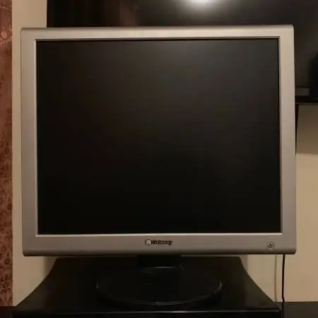 Gateway 20” Inch LCD Computer VGA DVI PC Desktop Monitor