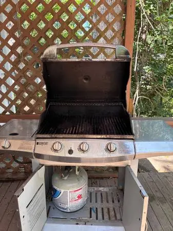 Gas Stainless Steel Grill