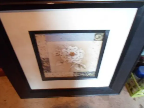 flowery pict, nice frame