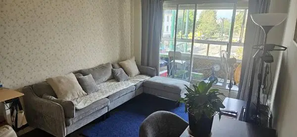 Furnished Apartment for Rent 1Bed+1Den(Mount Pleasant)