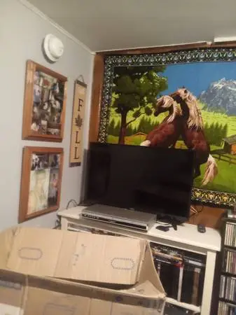 for sale a nice 32inch smart TV with remote