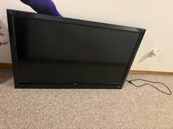 Vizio