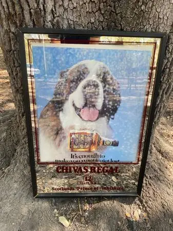 Vintage Chivas Regal Bar Mirror – St. Bernard