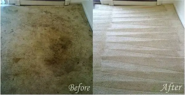 Whole House Carpet Cleaning Special $99.00!Call Now (916) 884-6193