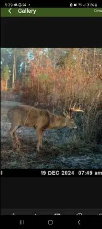 Deer Hunters