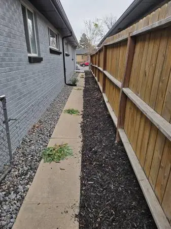 Weed Removal and lawn mowing