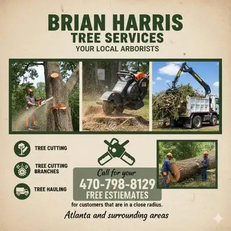 TREE SERVICE & BOB CAT SERVICES