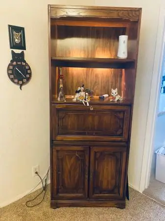 Wood Cabinet with Lights