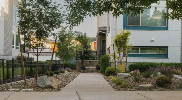 Landscape Lead