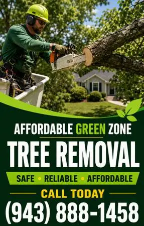 Affordable green zone tree removal (943) 888-1458