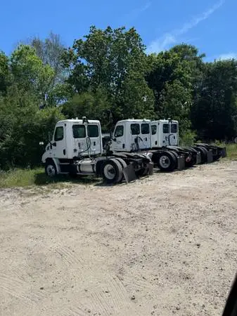 Looking to purchase fleet vehicles