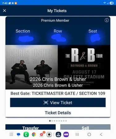 Chris Brown/Usher Section 109