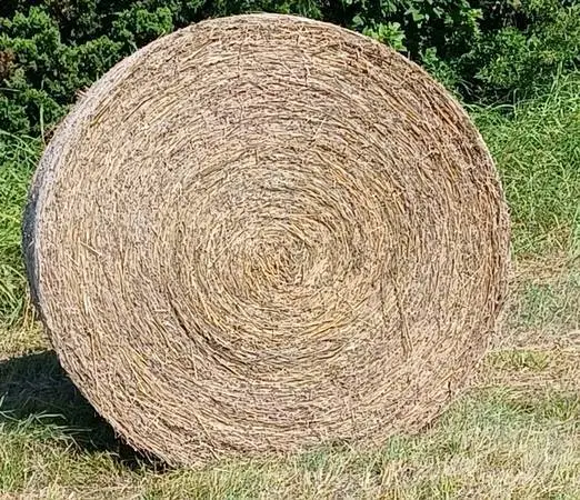 HAY Bale 4 SALE