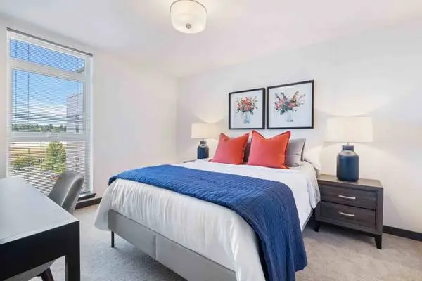 Carpeting, Washer/Dryer In Unit, Window Coverings
