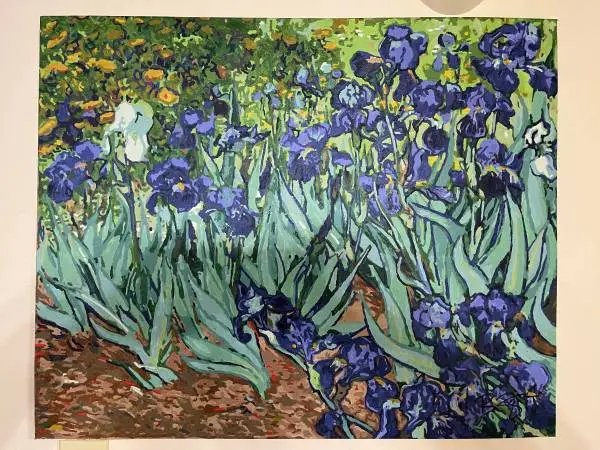 IRISES real acrylic painting