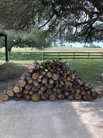 Live Oak Firewood