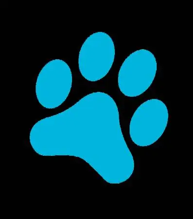 Licensed Veterinary Technician