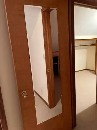 Door Mirror