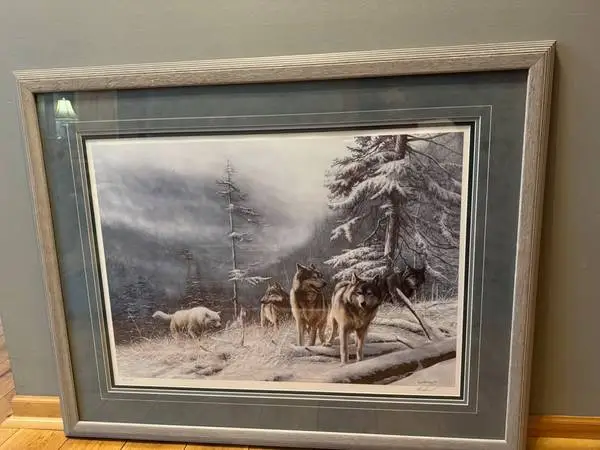 Wall Art- Kevin Danial Ltd Editions Search for Survival signed &#d,