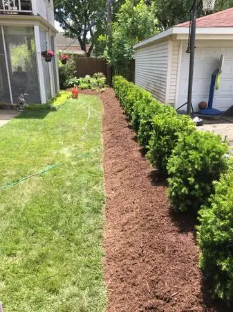 landscaping