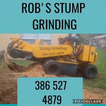 STUMP GRINDING 20% OFF OWNER OPERATOR BIG SAVINGS FOR YOU