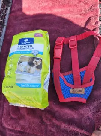 Dog Stuff