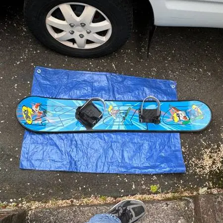 Snowboard, professional