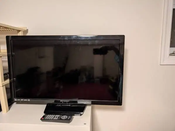 29 LED TV With Remote - Works Well - No Issues