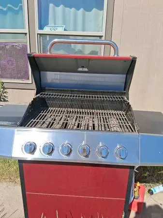 Expert Grill 6 burner bbq