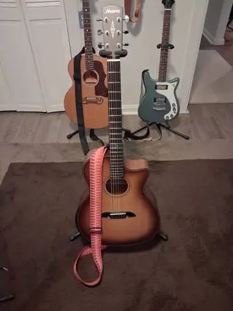 Alvarez AG60CE Performer Grand Auditorium Acoustic-Electric Guitar Sha